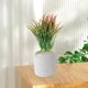 thumbnail image 5 of Crea hojas tropicales altas y brillantes para decorar interiores y exteriores en cualquier época del año. Decoración para patios y porches. Embellece tu jardín., 5 of 5