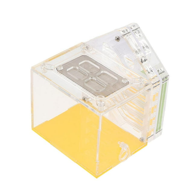 Caja Cuadrada de Acrílico para de gas, Caja de Formicario Comportamiento de , Jaula de Alimentación para Gloria Nido de hormigas de insectos
