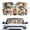 Cartoon Frogs Road Trip, variant on XYZCANDO Car Sun Shade with Desert Cheetah Pattern, Heat Reflector Foldable Cover for Windshield, Blocks Sun Heat for Daily Road Trips