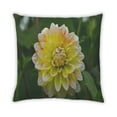 thumbnail image 2 of Ahgly Company Plants Flower Coussin Intérieur, 18 Pouces par 18 Pouces, 2 of 6