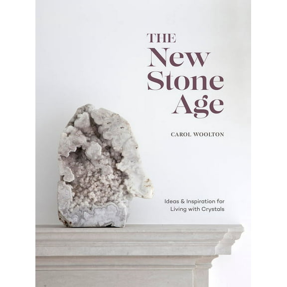 The New Stone Age (Hardcover)