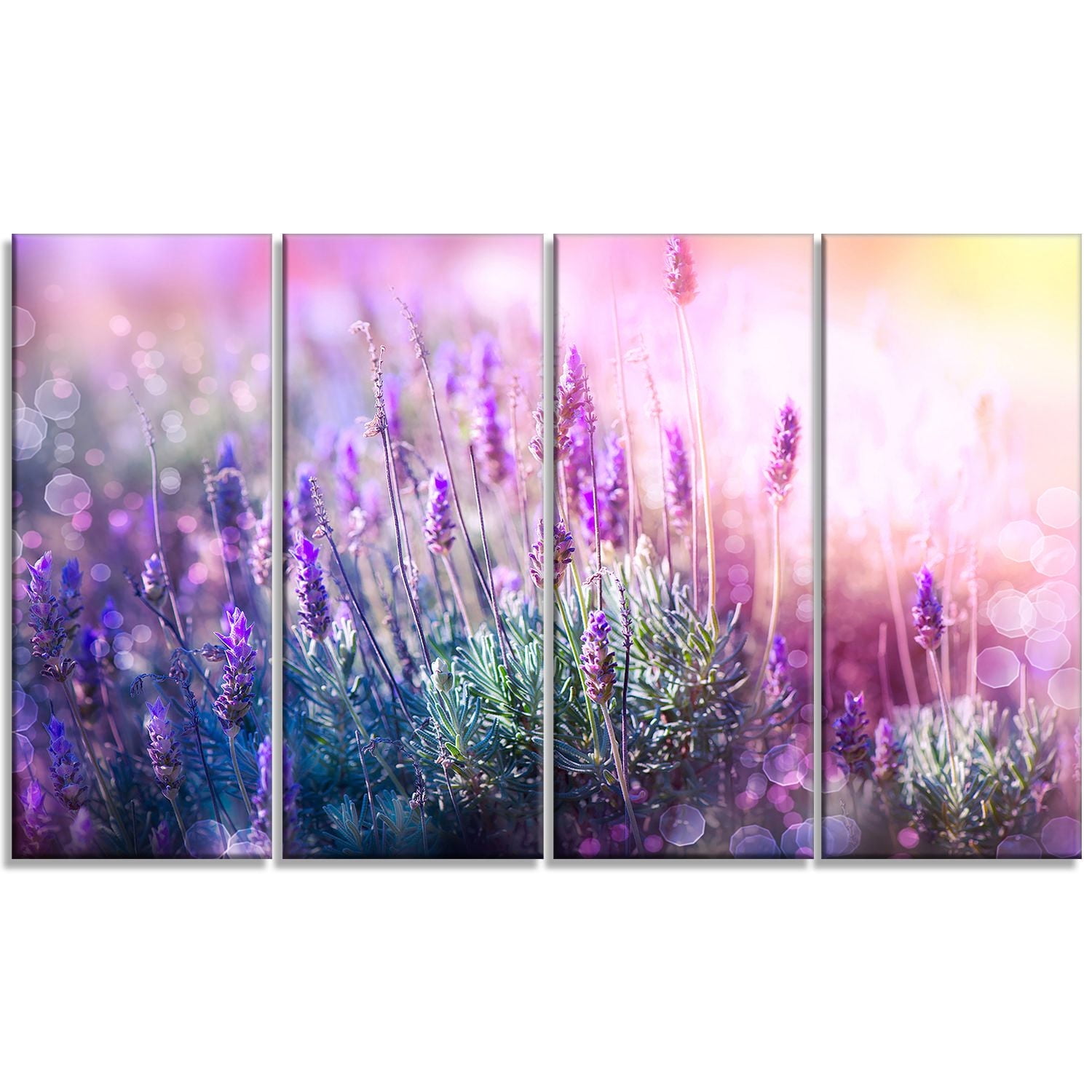 Design Art Growing And Blooming Lavender Floral Photo Canvas Art Print