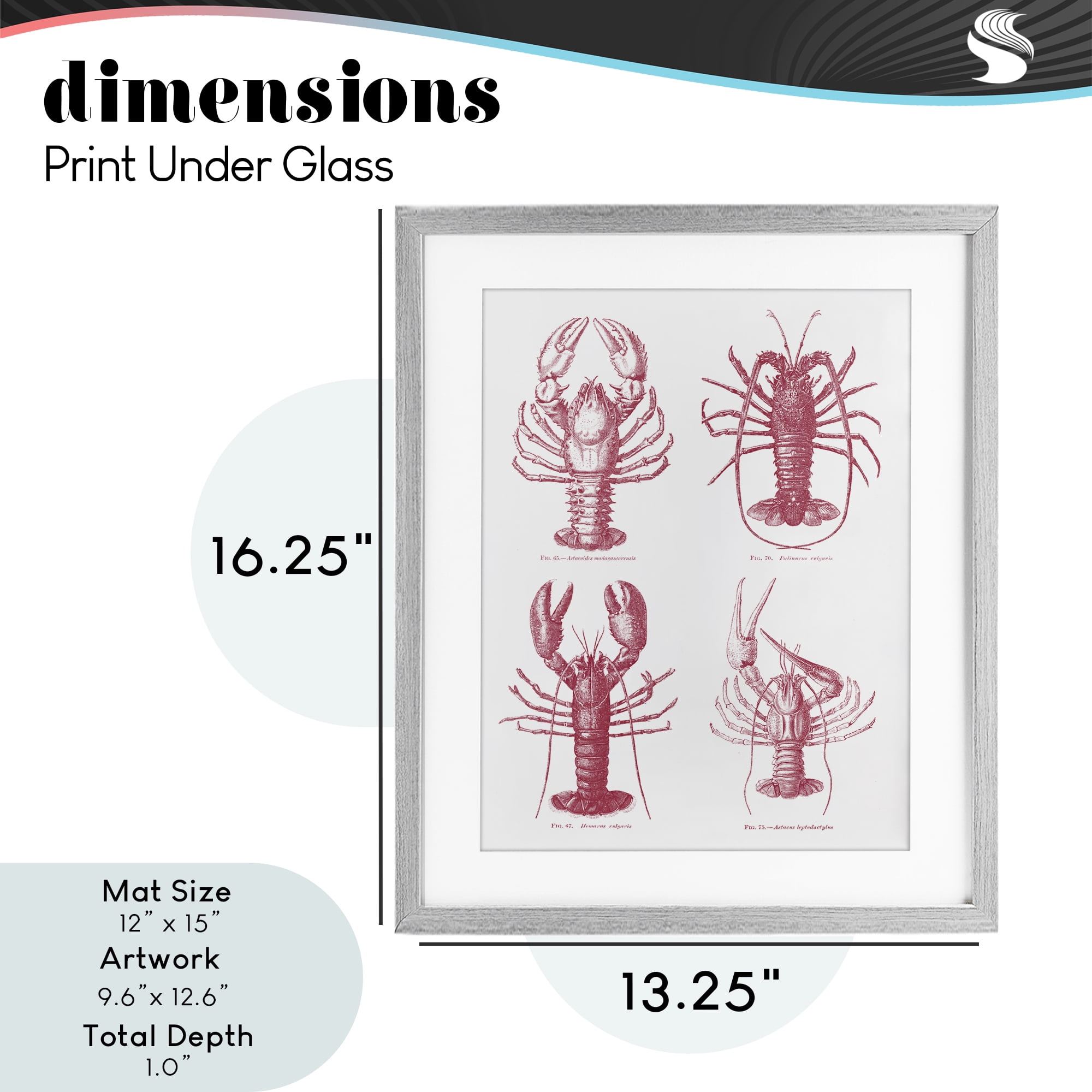 Timeless Lobsters Species Gray Framed Print Under Glass, design by Lettered and Lined