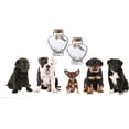 thumbnail image 6 of Memorial Bottle for pet Hair，Pet Fur Memorial Fur Keepsake，Dog cat Keepsake Fur, pet Memorial urn (cat), 6 of 7