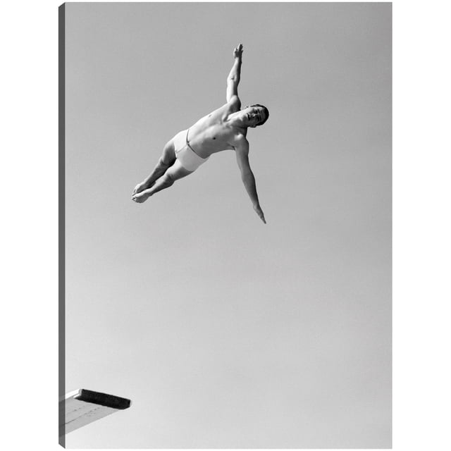 Cuadro Decorativo - Hombre de buceo de cisne alto