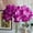 Purple, variant on SPRING PARK Artificial Orchid Flowers , Phalaenopsis, Fake Plastic Orchid Flowers, Decoration for Home Office, Wedding Bouquets