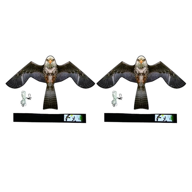 2 X Flying Bird Scarer Kite Control De Plagas Cultivos Protector De Grano Decoración De Césped Macarena Halcón Pájaro Scarer Kite