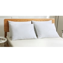 St. James Home 2 Pack Cotton SG NANO FEATHER Standard Size Pillow Pack