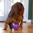 thumbnail image 4 of Juguete Interactivo para Perros Planet Dog Orbee-Tuff Mazee Púrpura con Dispensador de Premios, 4 of 9