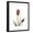 Black Frame, variant on Art.com Ruby Tulip Stretched Canvas Print Wall Art by Albert Koetsier, 12" x 16"