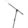 Ultimate Support Apex Column MIC-480 Mic Boom