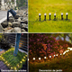 thumbnail image 2 of Tira De 30 Focos Led Solares Para Jardín Exteriores 8 Modos Negro, 2 of 5