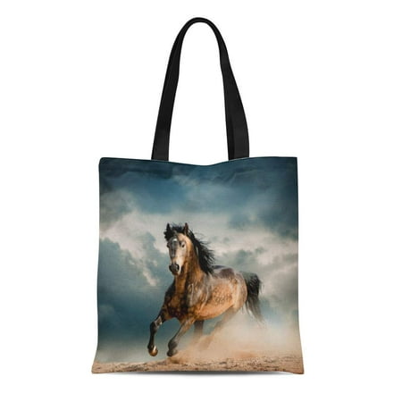 Silicon Dust Home Run ASHLEIGH Canvas Bag Resuable Tote Grocery Shopping Bags Orange Horse Wild Stallion in Dust Gray Run Freedom Tote Bag ()