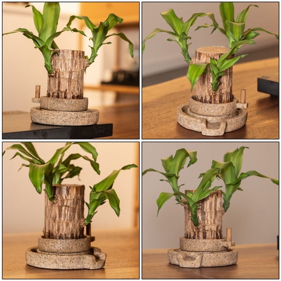 OULII 1Pc Stone Mill Shaped Resin Plant Pot Dark Grey for Desktop Succulents Decor
