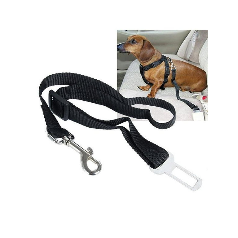 Anti shock dog seat belt sales