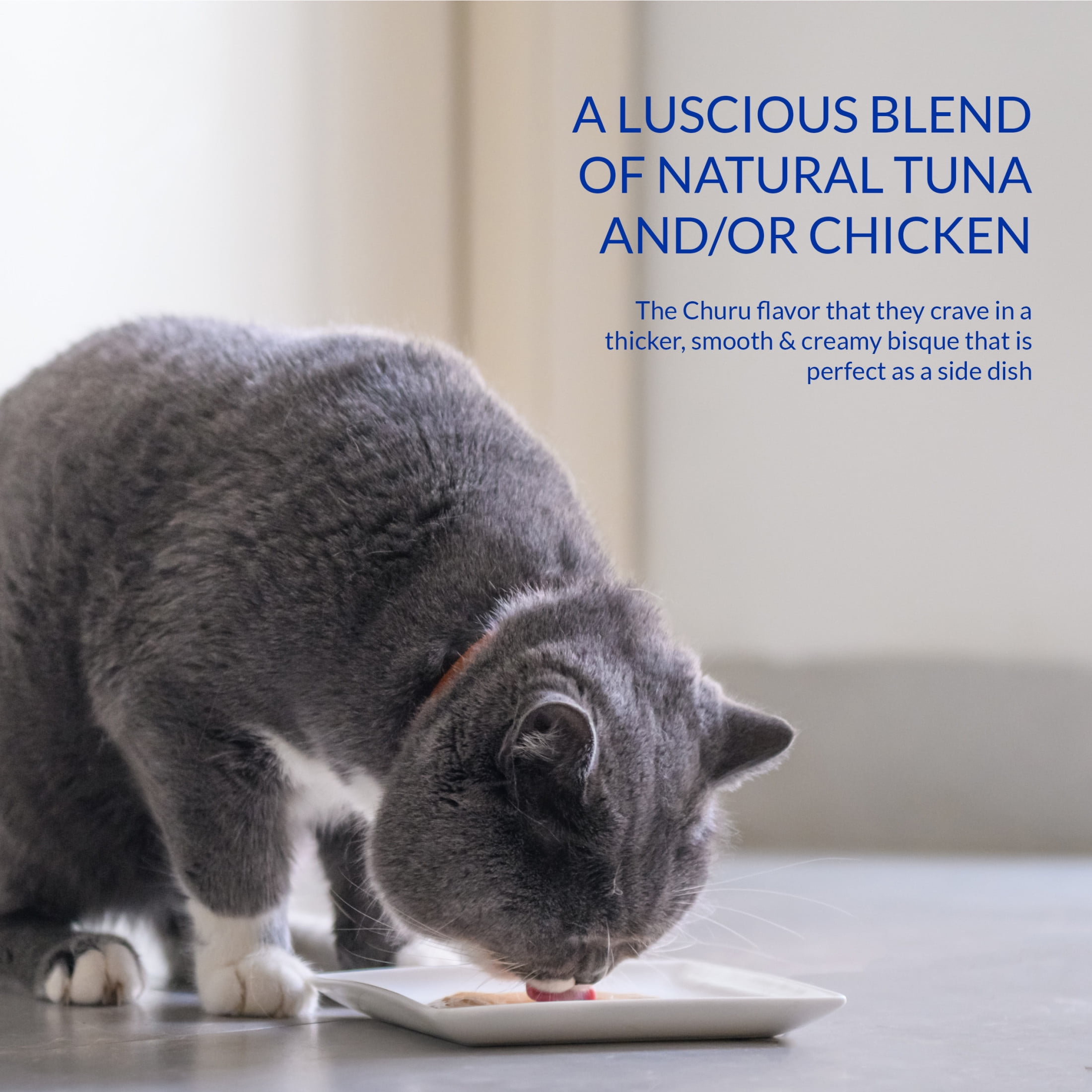 (6 pack) INABA Churu Bisque for Cats, Creamy Lickable Purée with Vitamin E, Chicken Variety Pack, 1.05 oz Pouches, 5‑Count