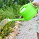 thumbnail image 5 of Regadera con manzana incluida verde 2,5 l JAMW Sencillez, 5 of 5