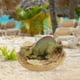 thumbnail image 5 of Figuras de dinosaurios,juguetes de dinosaurio modelo regalo animal huevo huevos,Figuras de animales de dinosaurios de juguete de simulación para niños,Figura de dinosaurio de plástico, 5 of 8