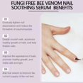 thumbnail image 4 of Nail Repair Liquid Hand And Foot Thickening Nail Repair Solution effective Nail Toenails Cleaning And Repairing Solution, 4 of 5