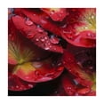 thumbnail image 4 of HAOXIT  Tablecloth Red Rose Floral Petal with Water Home Polyester Modern Printed Table Cloth Durable Square Printed Pattern Washable Table Cover for Dining Room Kitchen  46*46, 4 of 8