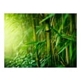 thumbnail image 2 of Tiptophomedecor Zen Wallpaper Wall Mural - Green Jungle Bamboo, 2 of 3