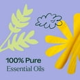 thumbnail image 5 of Plant Therapy Worry Free Essential Oil Blend 10 mL (1/3 oz) Stress & Calming Relief Blend 100% Pure, Undiluted, Natural Aromatherapy, Therapeutic Grade, 5 of 8