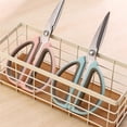 thumbnail image 4 of Tijeras de cocina Zhouqiannn de acero inoxidable para cortar huesos de pollo, verduras, pescado, artículos no domésticos, alimentos, multifuncionales, caja de herramientas para profesores, juego de, 4 of 8