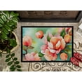 thumbnail image 3 of Carolines Treasures DAC1636JMAT 24 x 36 in. Unisex Delaware Peach Blossom in Watercolor Indoor or Outdoor Mat, 3 of 5