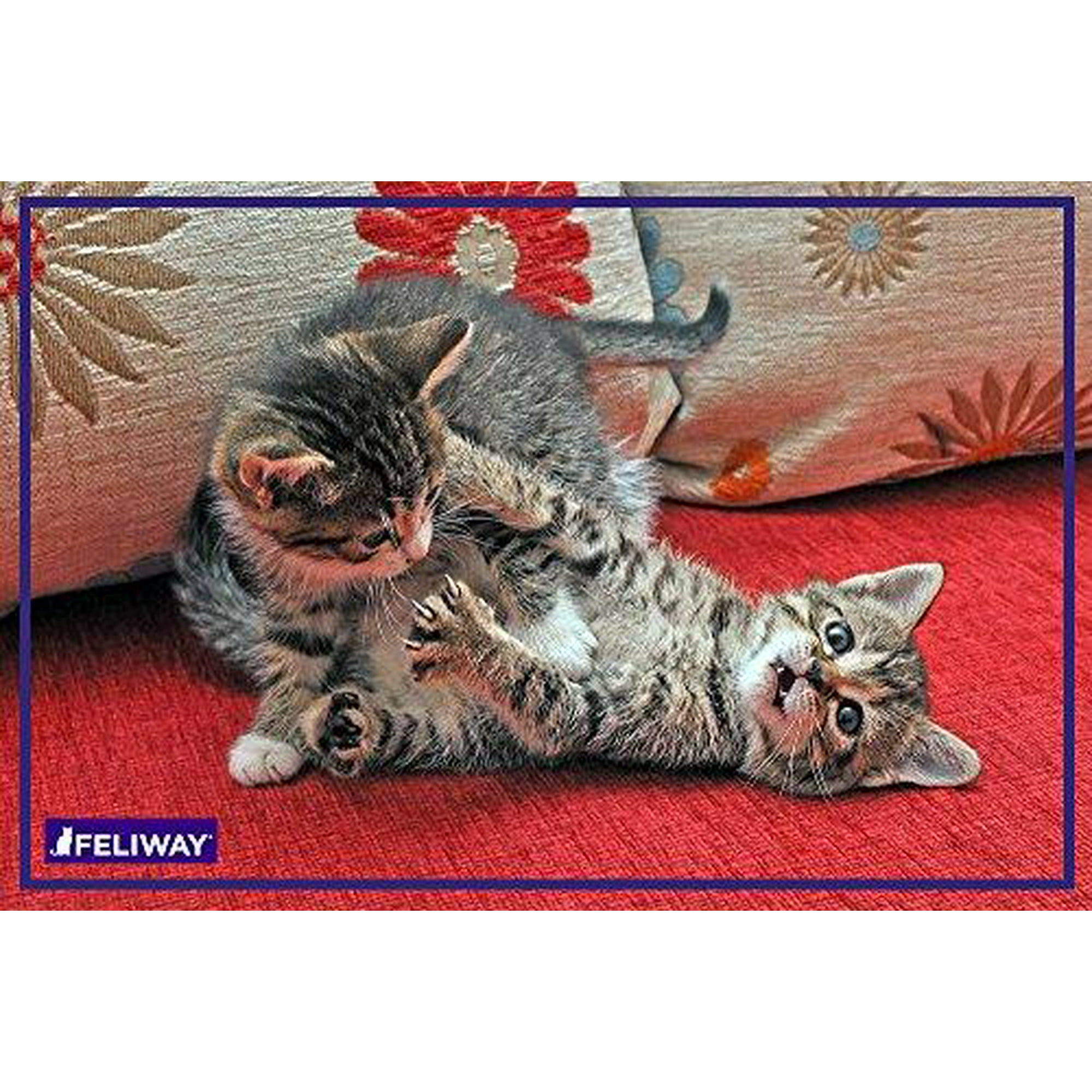 Feliway walmart canada online