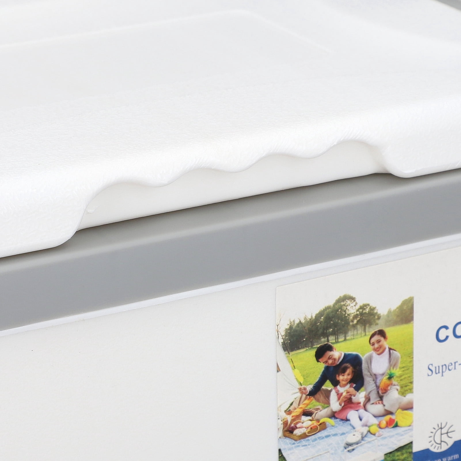 BIMZUC 10L Hard Sided Cooler Box High Performance Insulated Ice Chest with Heavy Duty Handle for Outdoor Camping Picnic Fishing Beach Drinks and Beer, White (11.4x8.9x10.4 Inches / 29x22.5x26.5 cm)