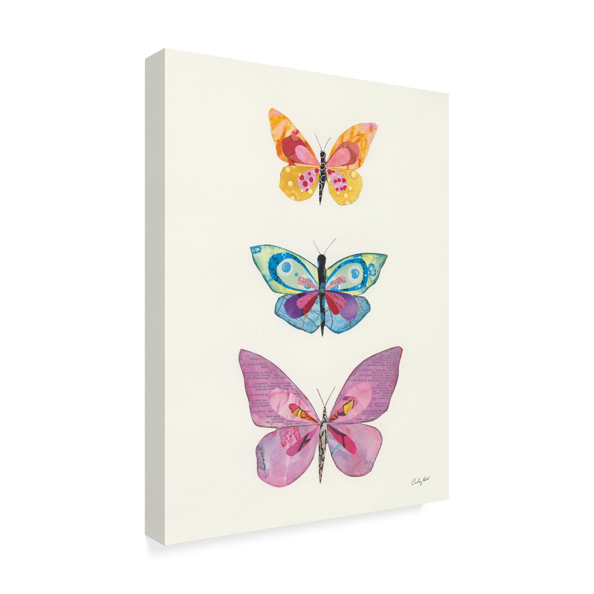 Trademark Fine Art 'Butterfly Charts III' Canvas Art by Courtney Prahl