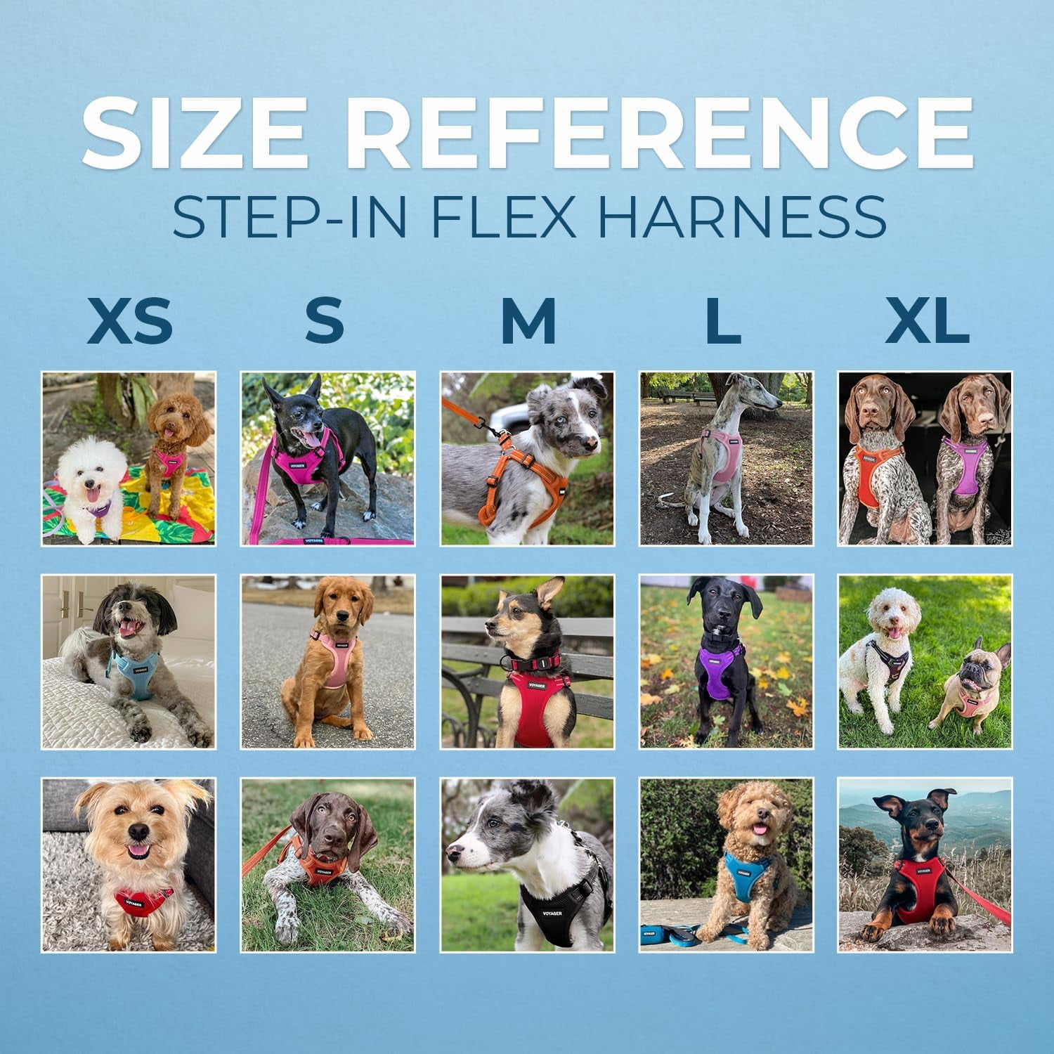Best Pet Supplies Voyager Step-In Flex Adjustable Mesh Dog Harness