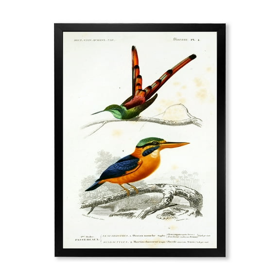 Designart 'Ancient Bird I' Traditional Framed Art Print