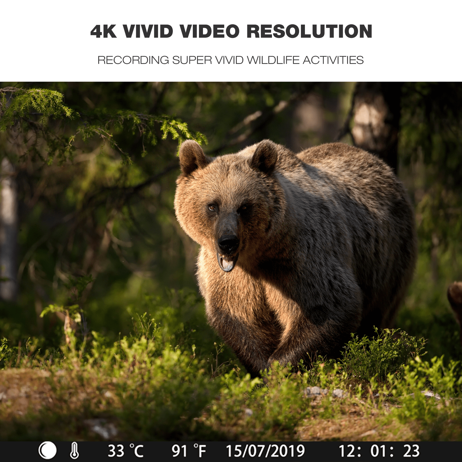 toguard 4k native wifi trail camera