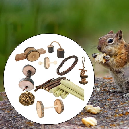 EHJRE Guinea Pig Toy Bunny Toy,Chinchilla Snacks Toys,Hamster Chew Toy,Natural Wood Dumbells for Gerbil,Hamster,Rabbit,Small Animal Molar Accessories , F F