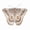 Coffee, variant on LARP Moth Wings Costume for Women,Double-Sided Butterfly Shawl Cape Halloween Fairy Cloak Party Dress Up