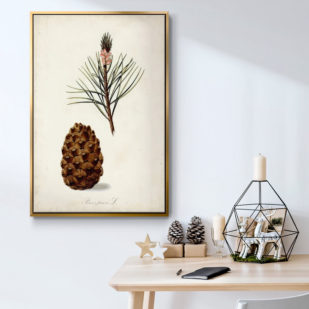 Antique Tree Study V - Framed Gallery Wrapped Holiday Canvas - 25 x 37 - Gold Frame