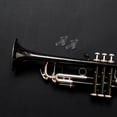 thumbnail image 4 of Miangastore 3Pcs Practical Trumpet Accessories Trumpet Button Springs Replacements, 4 of 8