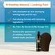 thumbnail image 3 of Loción Autobronceadora Tan Physics Sunless Tanner 240 ml con Accesorios, 3 of 6