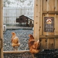 thumbnail image 6 of HELLOYOUNG Funny Chicken Rules Sign Rustic Vintage Metal Tin Wall Art Farmhouse Decor Gift for Chicken Keepers Poultry Lovers, 6 of 9