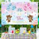 thumbnail image 4 of Boy or Girl Banner Bear Theme He or She Gender Reveal Backdrop Blue Pink Gender Reveal Photography Background What Will Baby Be Baby Shower Party Deco, 4 of 4