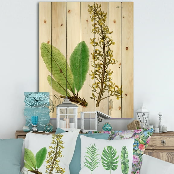 Designart 'Ancient Brazilian Plant IV' Traditional Print on Natural Pine Wood