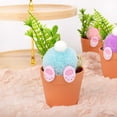 thumbnail image 4 of Huanglei Easter Bunny Mini Planter Adorable Rabbit Pot Ideal Tray Ornament For Home Style, 4 of 8