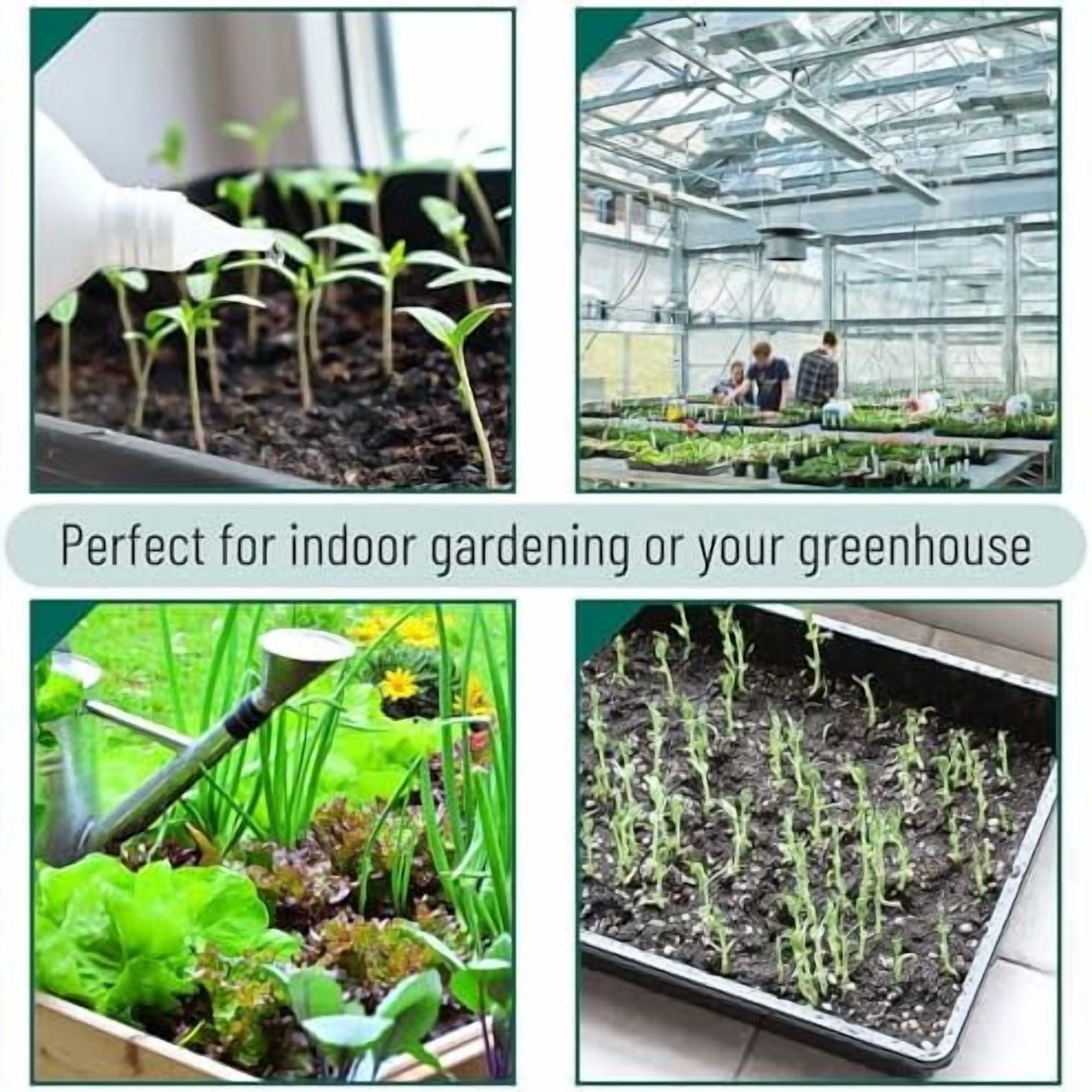 - Plastic Growing Trays, 10 Pack, Black, 17”x10”, Plant Tray, Seed Tray, Seedling Tray, Propagation Tray, Plant Trays for Seedlings, Seedling Starter Trays, Microgreens Growing Trays