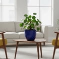 thumbnail image 2 of Bloem Canyon 8"Indoor Metal Cachepot - Glossy Decorative Planter with Powder-Coated Finish, Removable Drain Plug, Cobalt, 2-Pack, 2 of 5