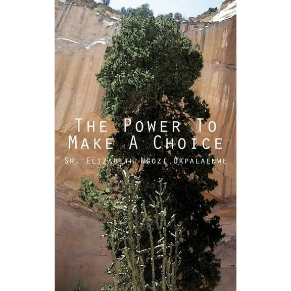 The Power to Make a Choice (Paperback)