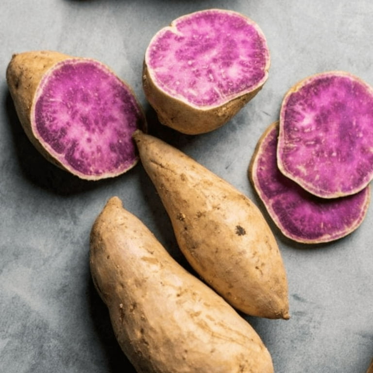 Pack 5 Purple Okinawa Sweet Potato Plants, 4-6 Inch, Well