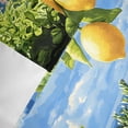 thumbnail image 4 of Window Valance for Kitchen,Farm Lemon Green Leaves Watercolor Rod Pocket Curtain Valances Short Curtains Drapes Panel,Summer Blue Ocean Window Treatment Topper for Living Room Bathroom Bedroom Home, 4 of 9