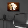 thumbnail image 5 of Epic Art 'Dog 1A' by Ata Alishahi, Acrylic Glass Wall Art, 16"x12", 5 of 8