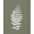thumbnail image 2 of Great Art Now True Green VII by Katie Pertiet, Canvas Wall Art, 16W x 20H, 2 of 2